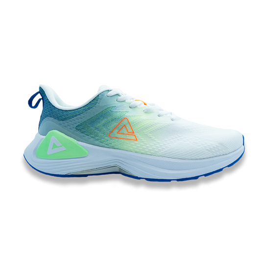 Tenis PEAK Running WIND TD Hombre. E221027H