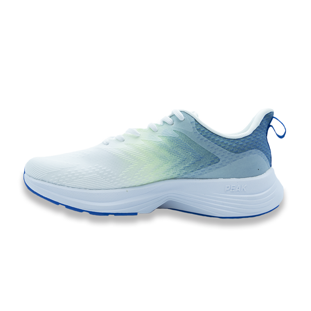 Tenis PEAK Running WIND TD Hombre. E221027H