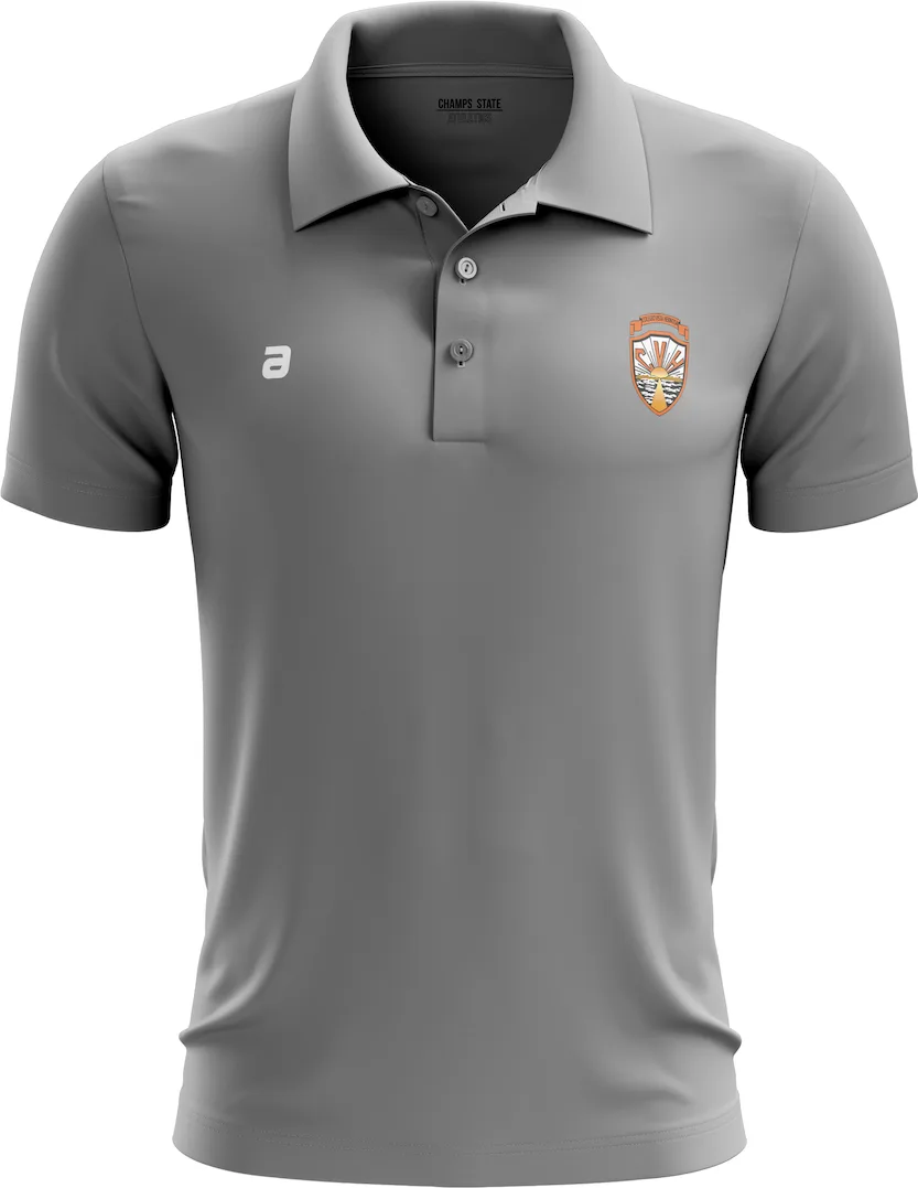 Polo institucional